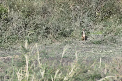 DSC_3803 (Large).JPG